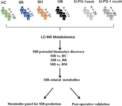 LC–MS-Based Urine Metabolomics Analysis for the Diagnosis and Monitoring of Medulloblastoma